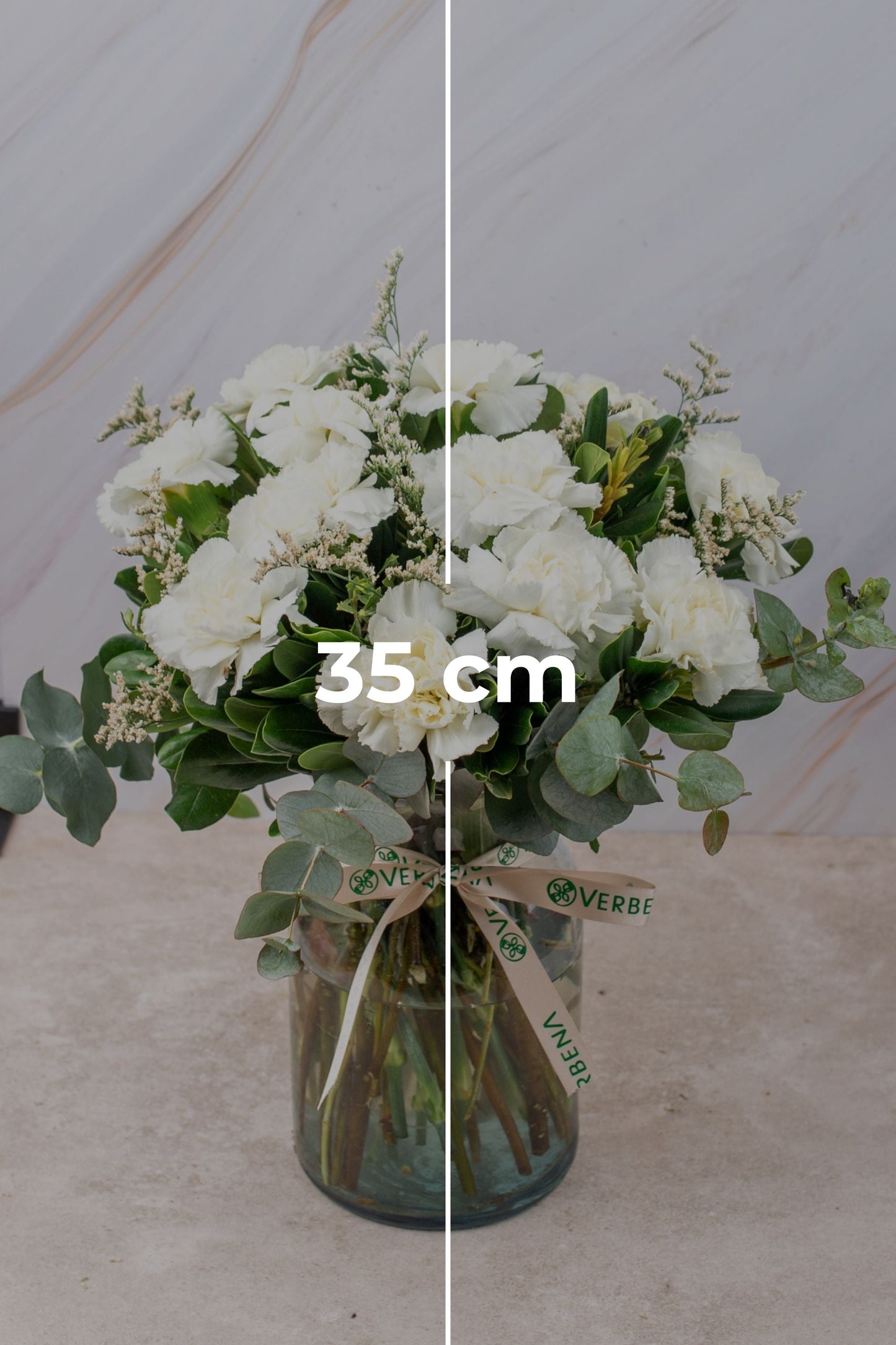 Rivera Flores / Clavel Blanco