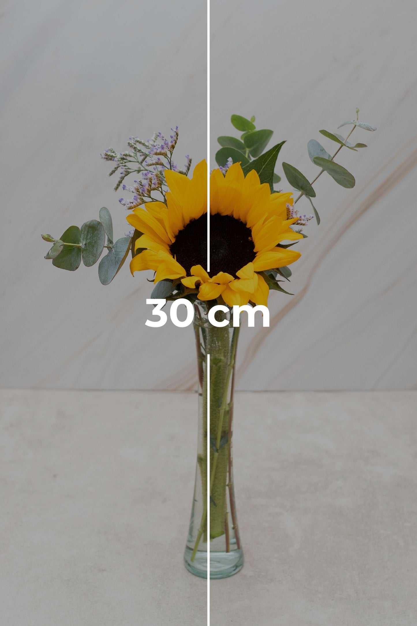 Rayito de Sol - Girasol (PEREIRA)