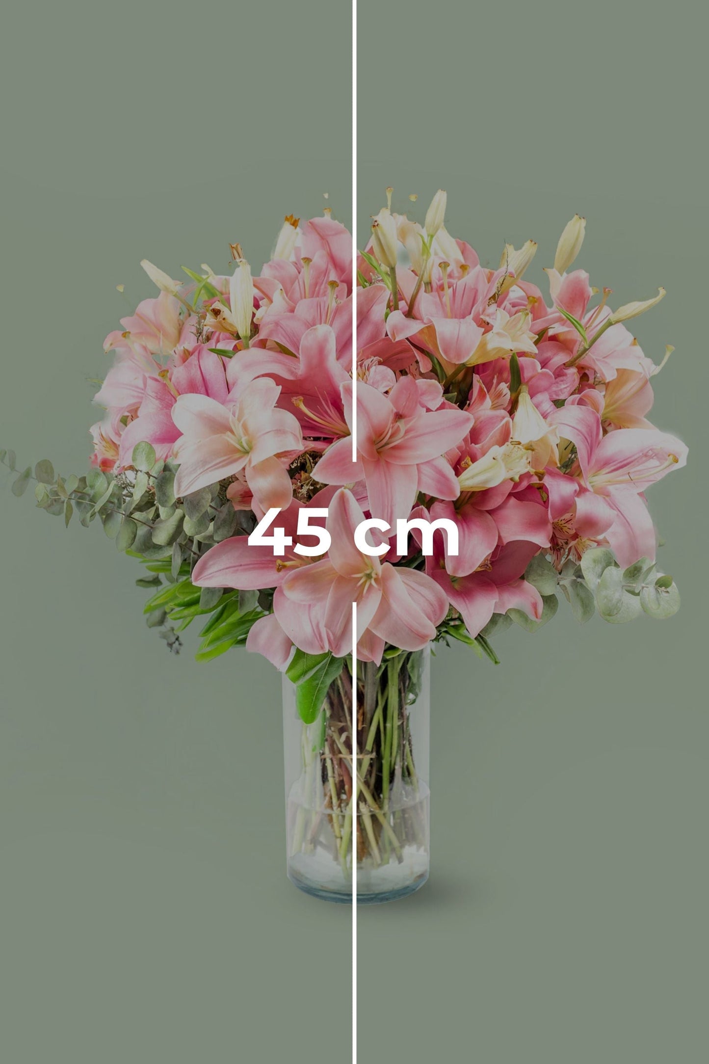 Pantera Rosa - Lilium Rosa (PEREIRA)