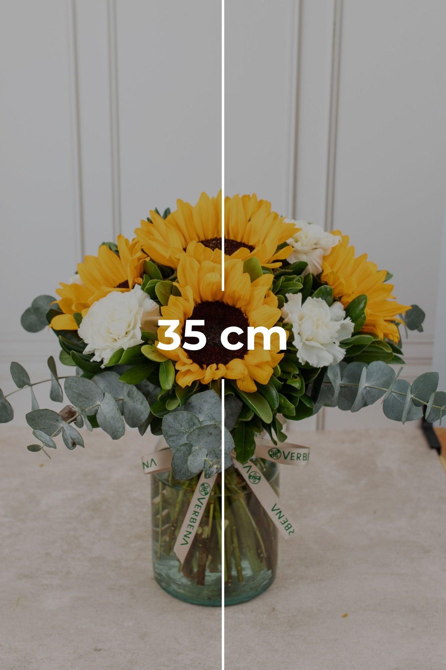 Cuando Calienta el Sol - Girasol y Clavel Blanco (PEREIRA)