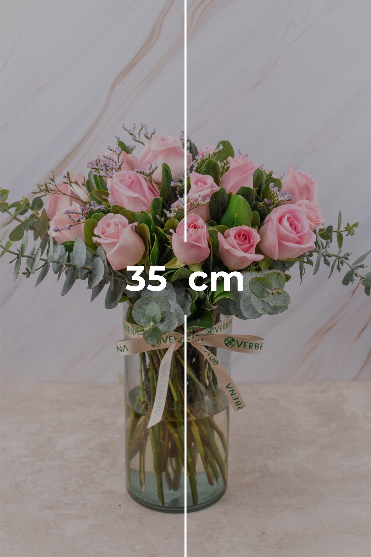 Amanecer - Rosa Clarita (PEREIRA)