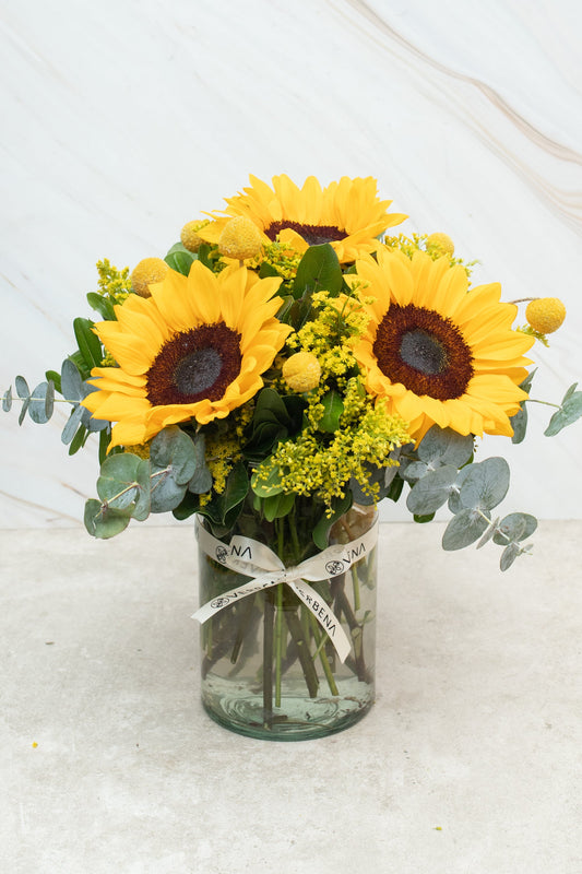 Eterna Primavera - Girasol y Craspedia