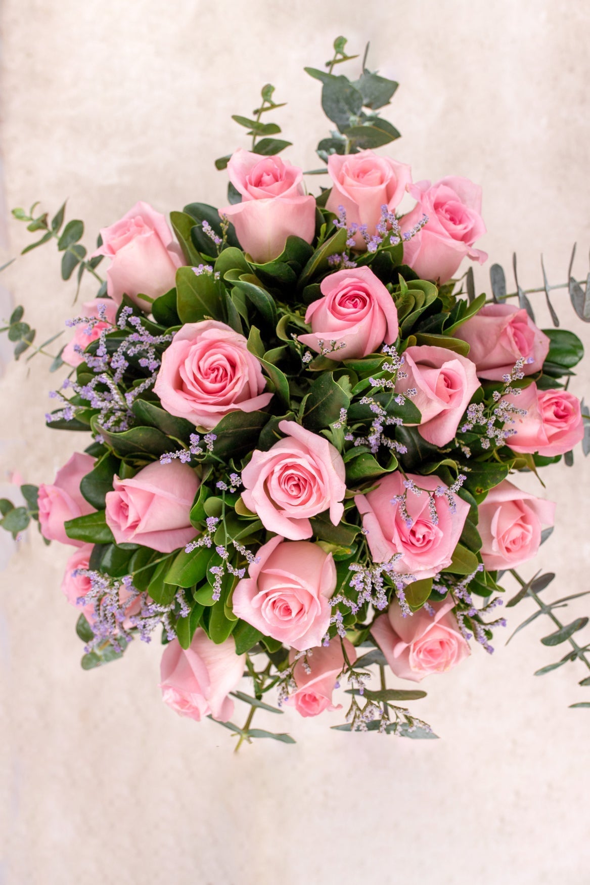 Amanecer - Rosa Clarita (PEREIRA)