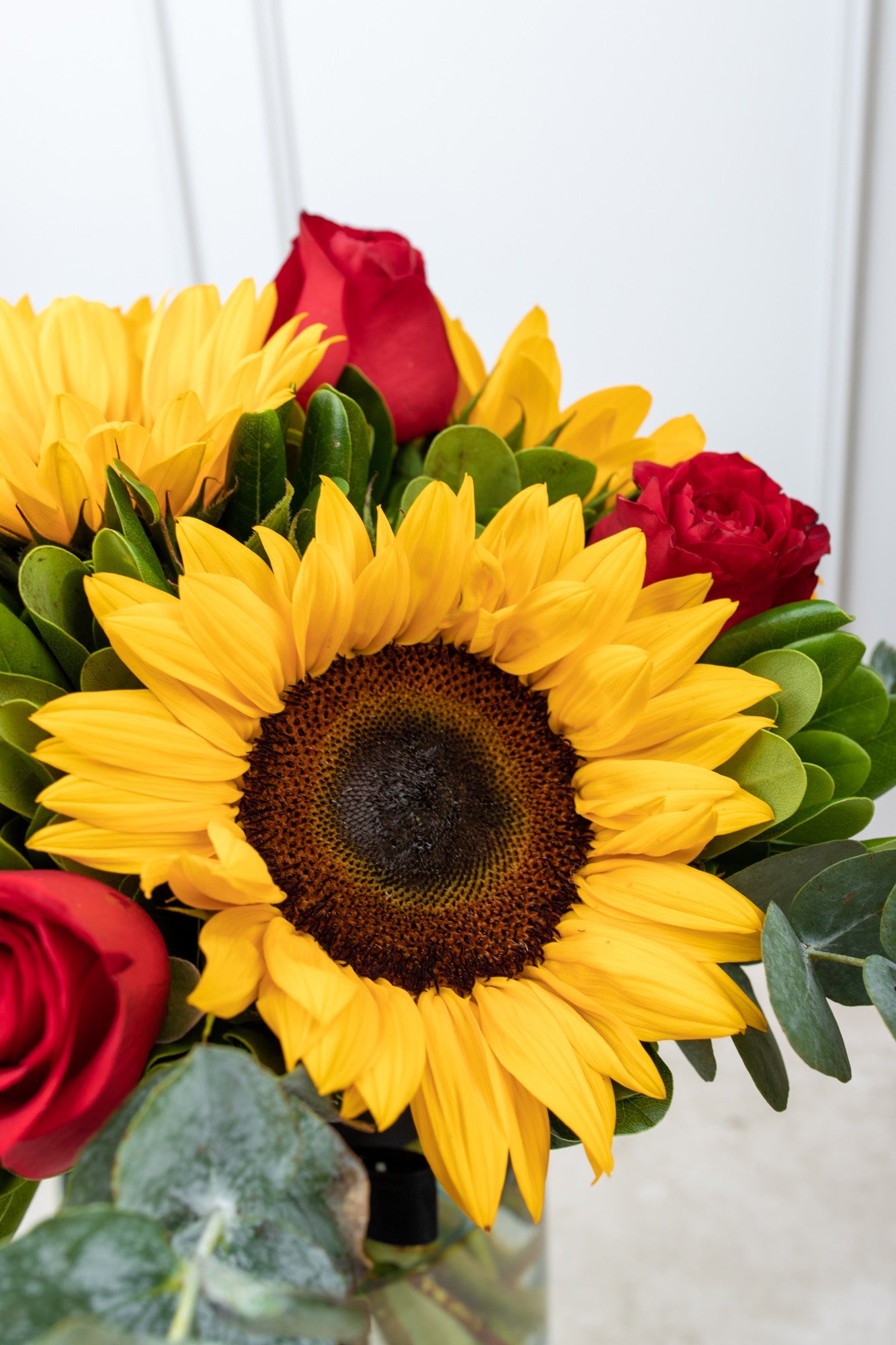 Ocaso - Girasol y Rosa Roja