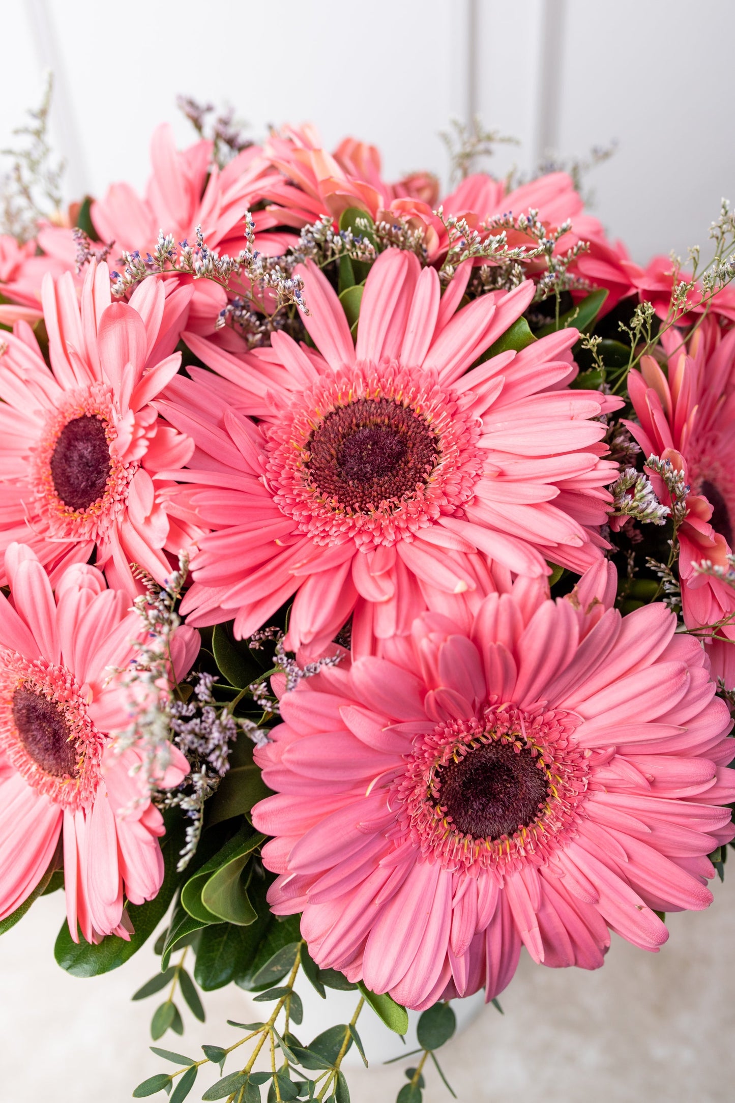 Dulce Primavera - Gerbera Rosa (PEREIRA)