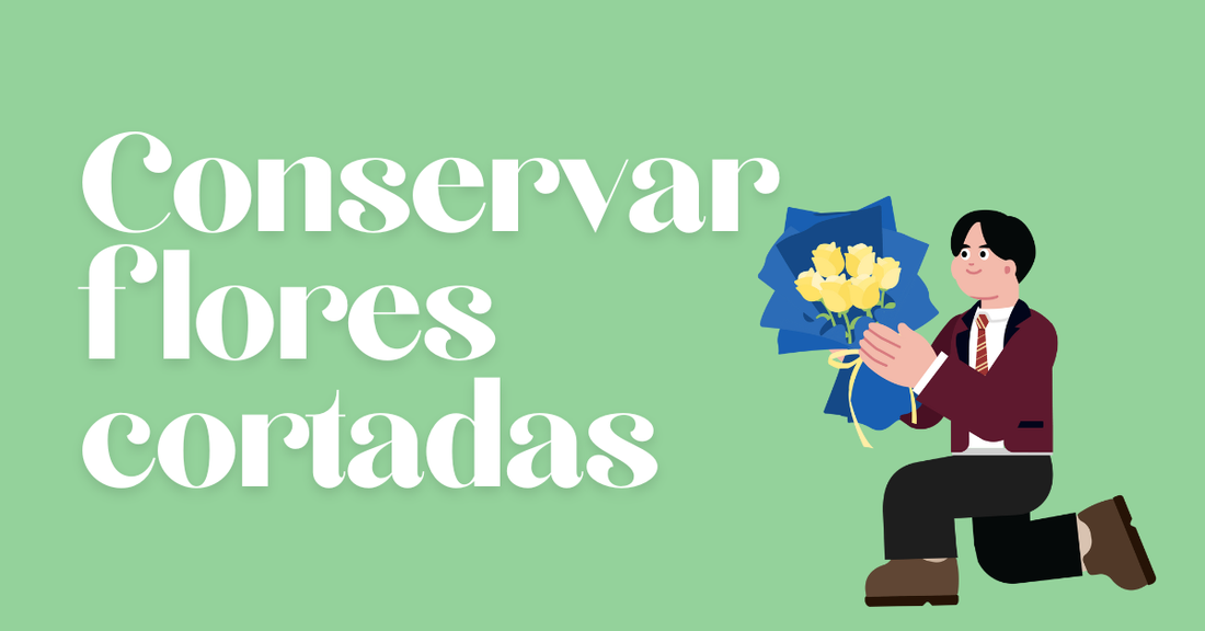 conservar flores cortadas