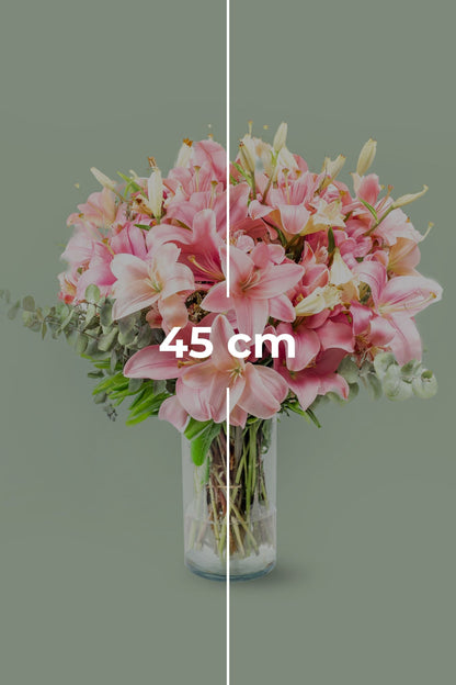 Pantera Rosa - Lilium Rosa (PEREIRA)