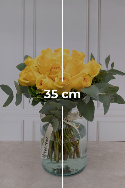 Canario - Rosa Amarilla (PEREIRA)