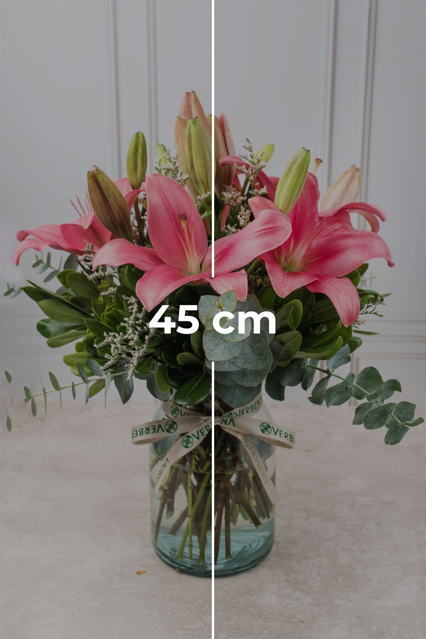 Las Brisas Flores / Lilium Rosa