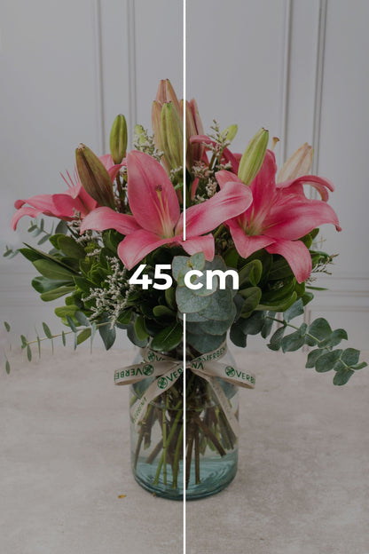 Las Brisas Flores / Lilium Rosa