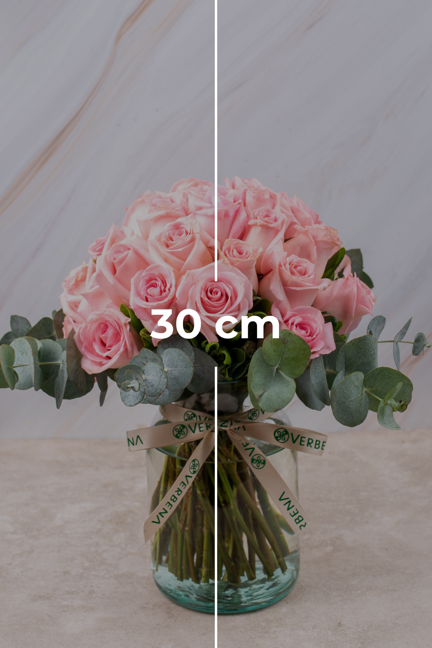 Flamingo Domingo - Rosa Clarita