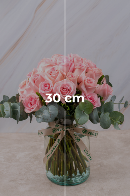 Flamingo Domingo - Rosa Clarita