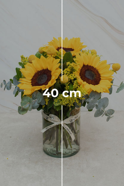 Eterna Primavera / Girasol y Craspedia