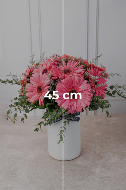 Dulce Primavera - Gerbera Rosa (PEREIRA)