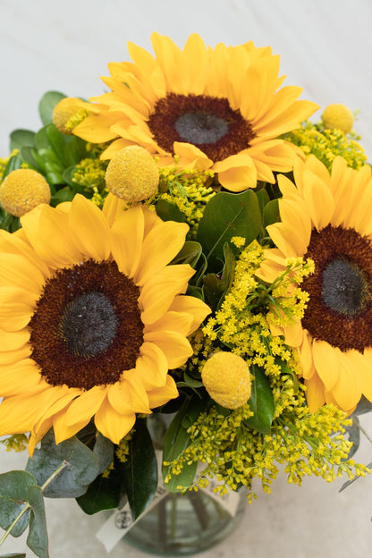 Eterna Primavera / Girasol y Craspedia
