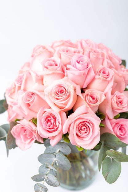 Flamingo Domingo - Rosa Clarita