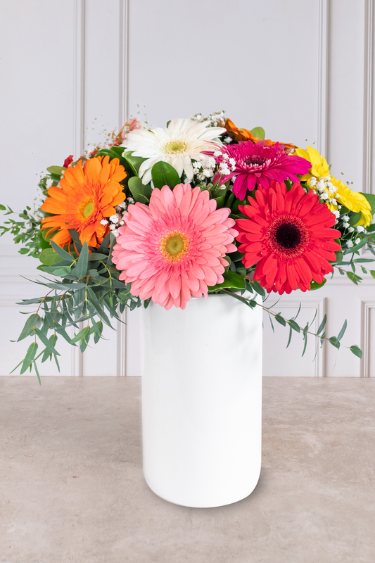 Encanto - Gerbera Multicolor