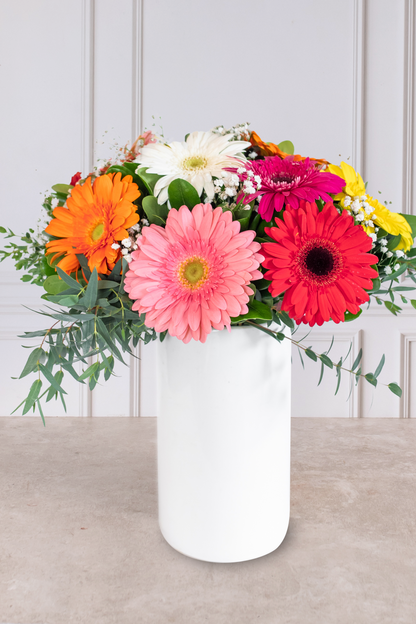 Encanto - Gerbera Multicolor (PEREIRA)