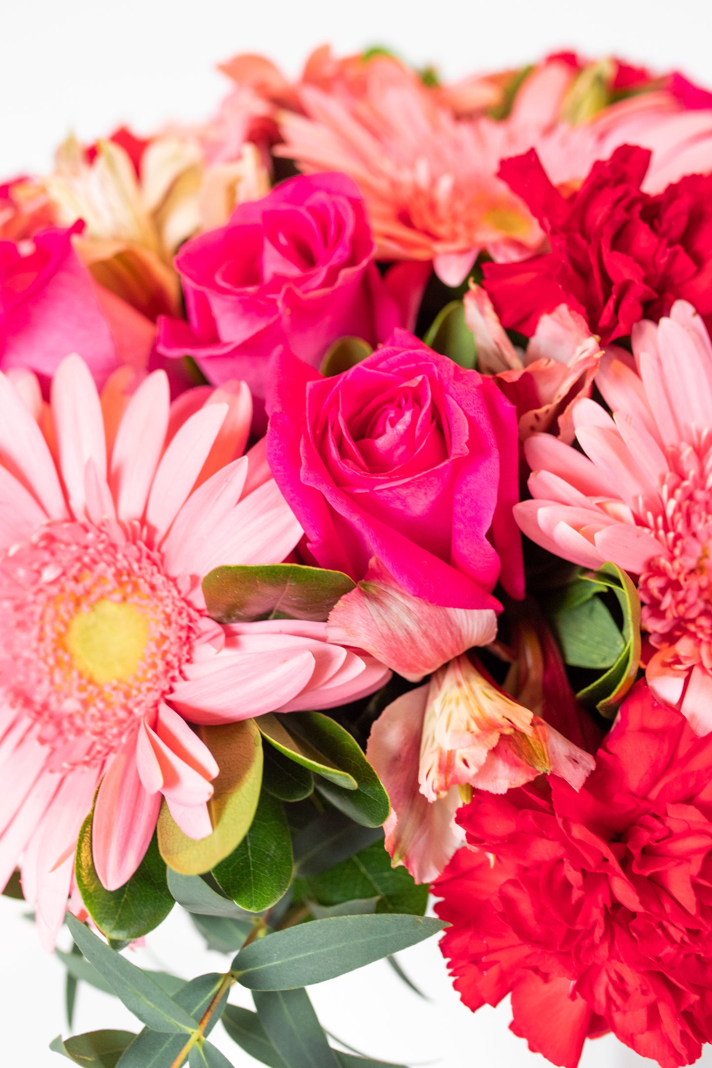 Mil Amores - Gerbera Rosa y Astromelia Rosa