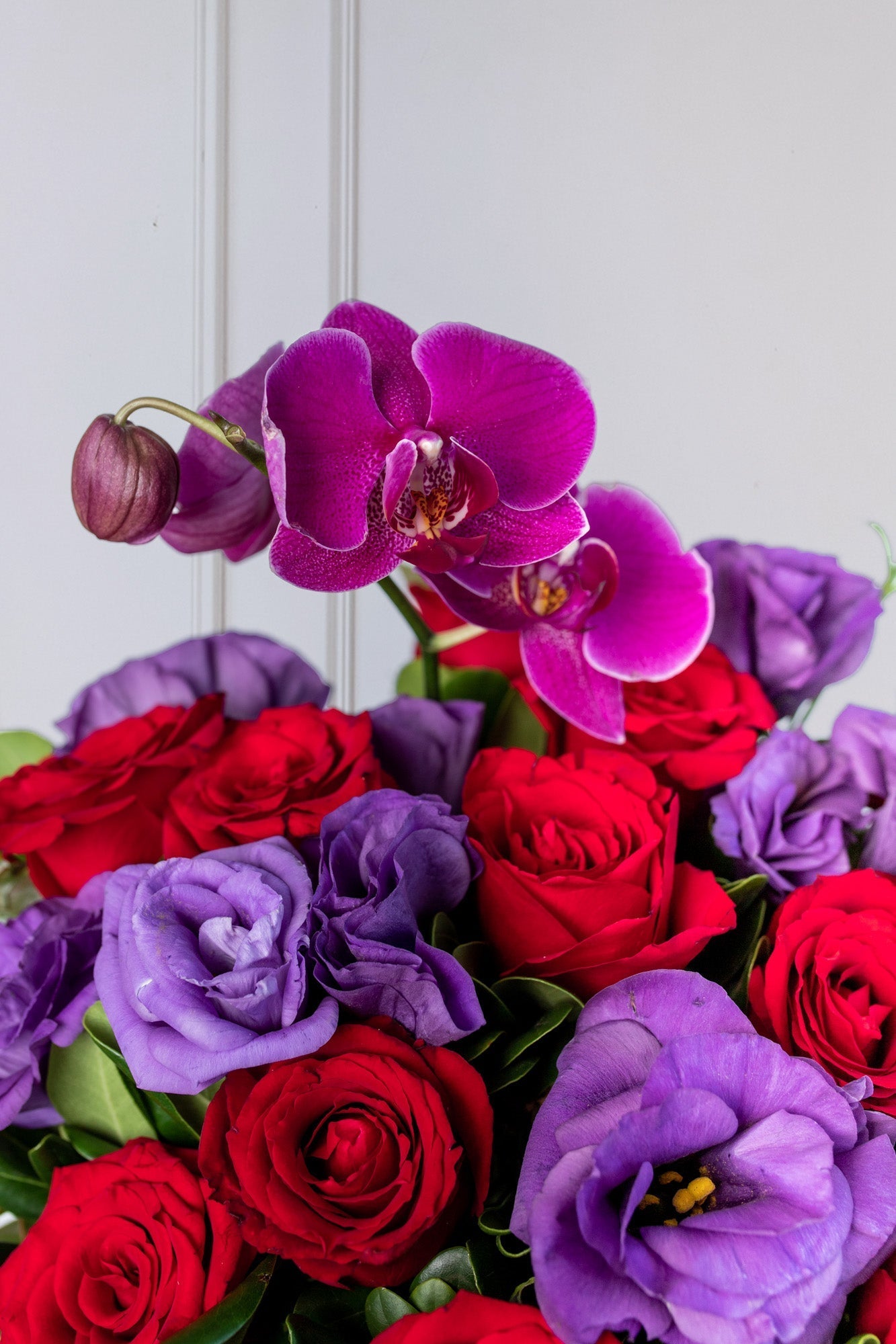 Mora Roja / Rosa Roja, Lisianthus Morado y Orquídea
