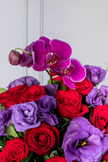 Mora Roja / Rosa Roja, Lisianthus Morado y Orquídea