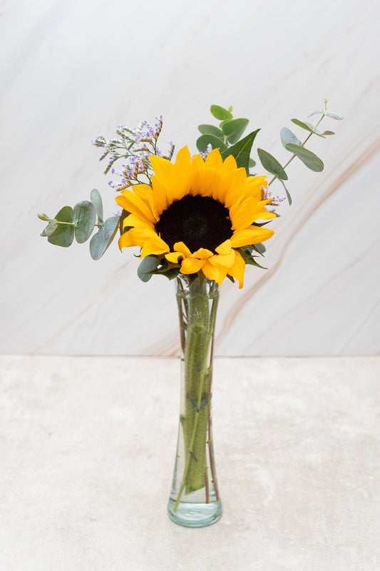 Rayito de Sol / Girasol