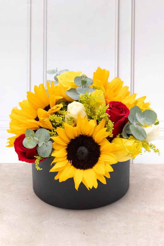 Ricitos de Oro - Girasol, Rosa Amarilla, Blanca y Roja
