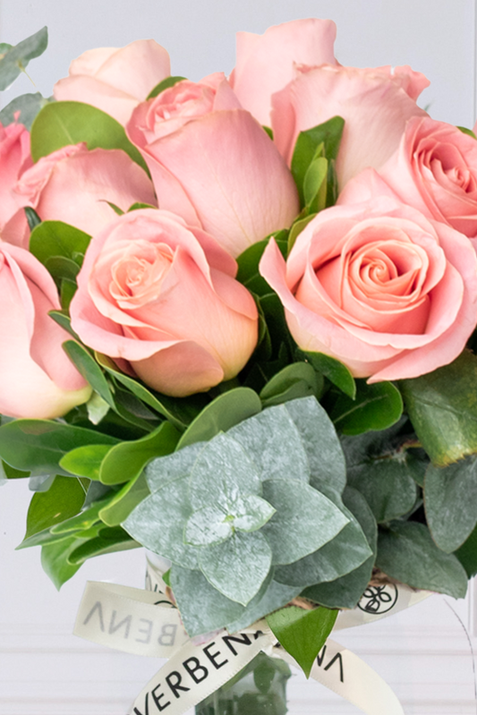 La Vida en Rosa / Rosa Clarita