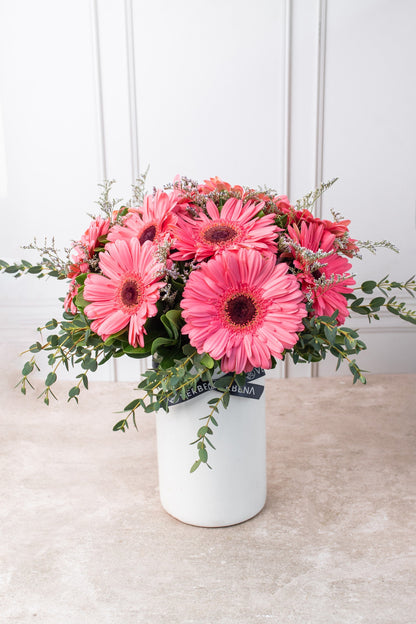 Dulce Primavera - Gerbera Rosa (PEREIRA)