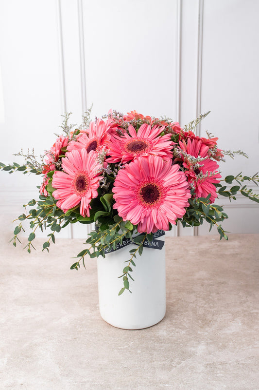 Dulce Primavera - Gerbera Rosa (PEREIRA)