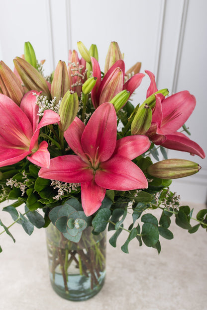 Las Brisas Flores / Lilium Rosa