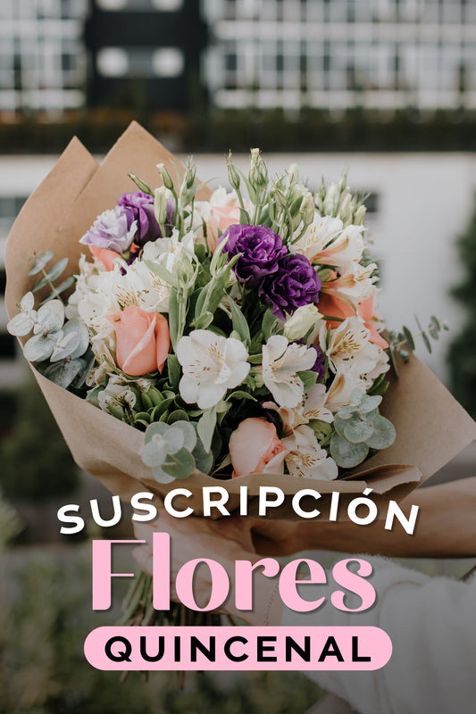 Suscripción / Quincenal