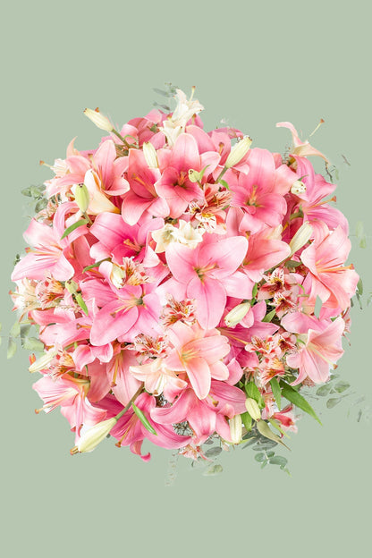 Pantera Rosa - Lilium Rosa (PEREIRA)