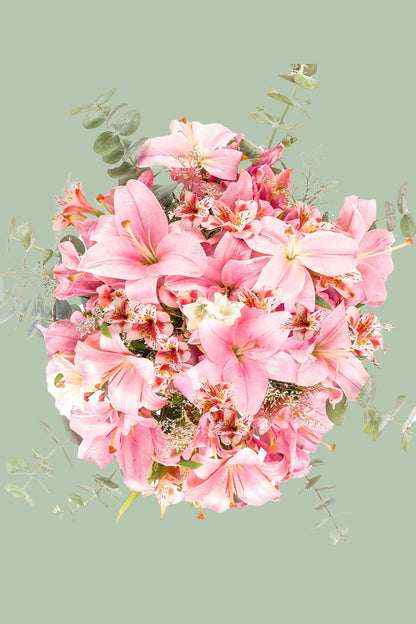 Pantera Rosa - Lilium Rosa (PEREIRA)