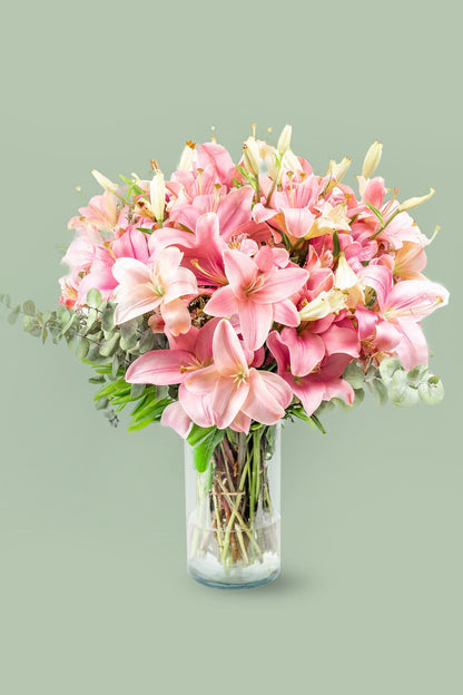 Pantera Rosa / Lilium Rosa