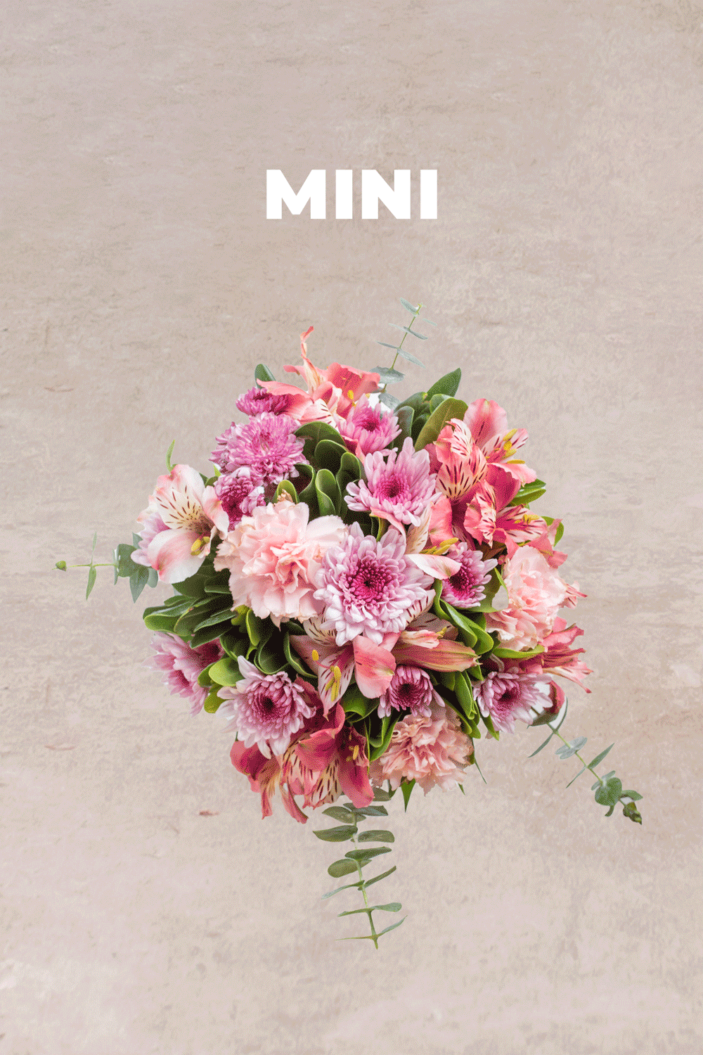 Suscripción Mensual